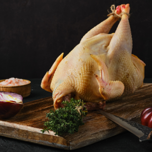 pollo de corral